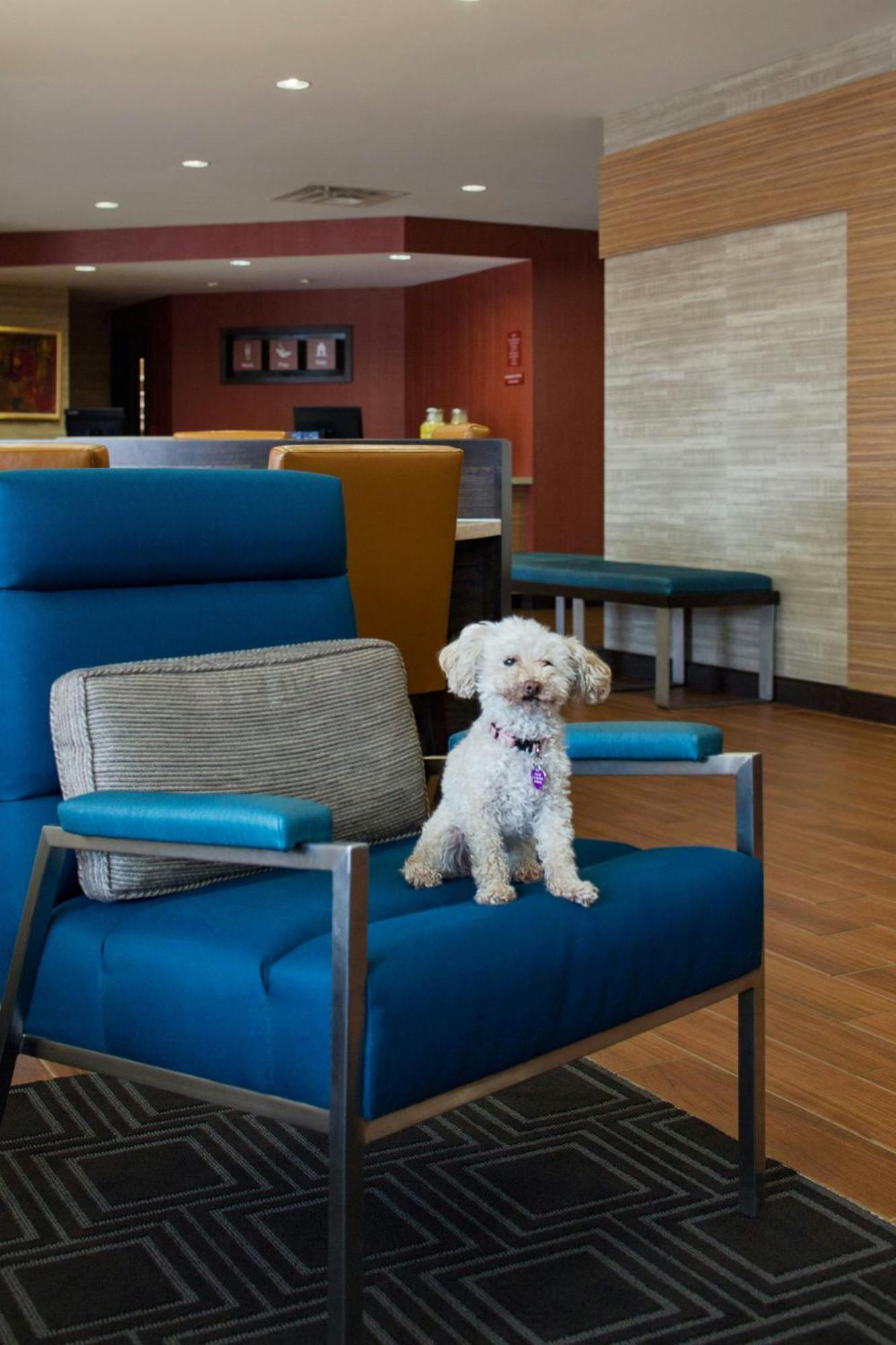 Towneplace Suites By Marriott Austin ראונד רוק מראה חיצוני תמונה